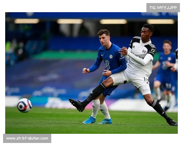 布伦特福德的英超精彩之旅，新星闪耀，魅力无限